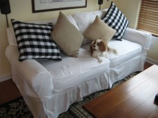 White Cotton Slipcover with a Spaniel