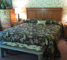 Exotic Master Bedroom, Before
